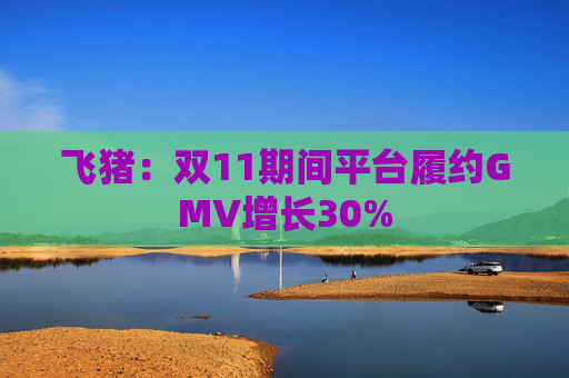 飞猪：双11期间平台履约GMV增长30%