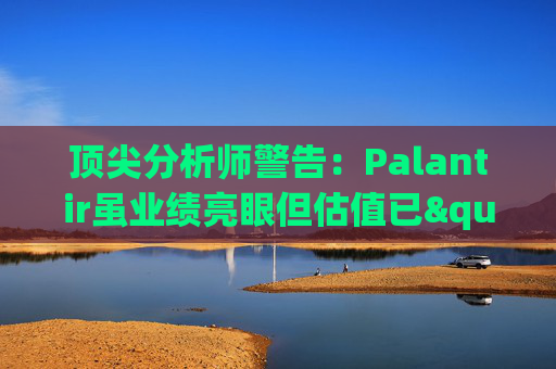 顶尖分析师警告：Palantir虽业绩亮眼但估值已"趋于完美"