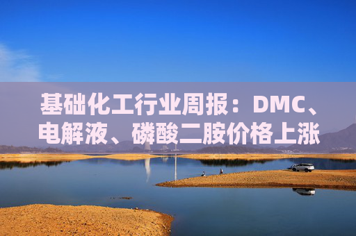 基础化工行业周报：DMC、电解液、磷酸二胺价格上涨 关注反内卷和铬盐