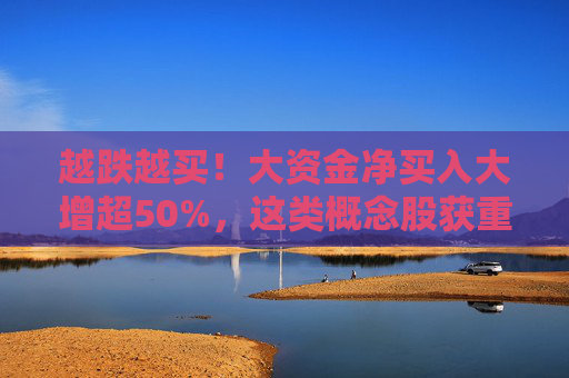 越跌越买！大资金净买入大增超50%，这类概念股获重点关注