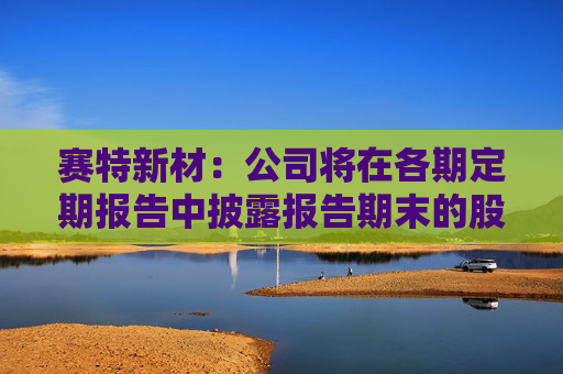 赛特新材：公司将在各期定期报告中披露报告期末的股东人数