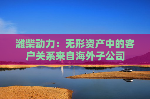 潍柴动力：无形资产中的客户关系来自海外子公司