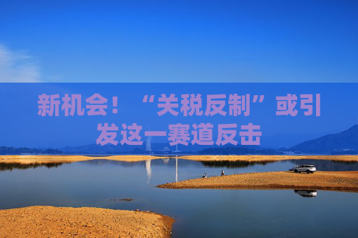 新机会！“关税反制”或引发这一赛道反击