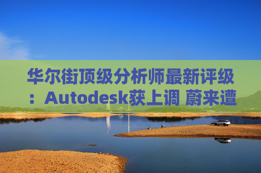 华尔街顶级分析师最新评级：Autodesk获上调 蔚来遭下调