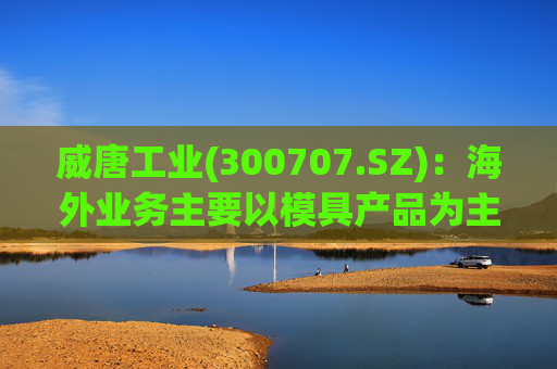 威唐工业(300707.SZ)：海外业务主要以模具产品为主