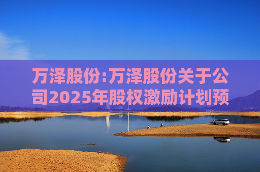 万泽股份:万泽股份关于公司2025年股权激励计划预留授予限制性股票登记完成的公告