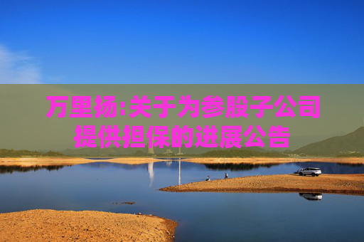 万里扬:关于为参股子公司提供担保的进展公告
