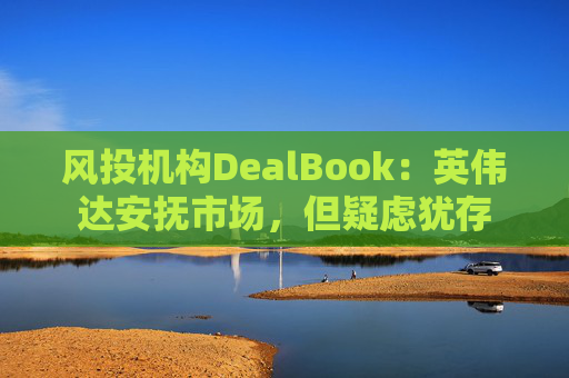 风投机构DealBook：英伟达安抚市场，但疑虑犹存  第1张