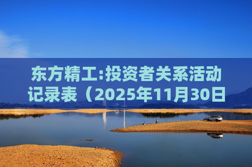 东方精工:投资者关系活动记录表（2025年11月30日）