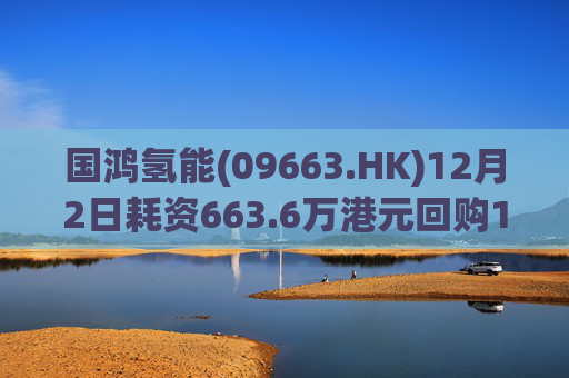 国鸿氢能(09663.HK)12月2日耗资663.6万港元回购128.6万股  第1张