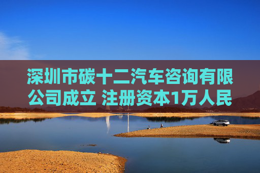 深圳市碳十二汽车咨询有限公司成立 注册资本1万人民币