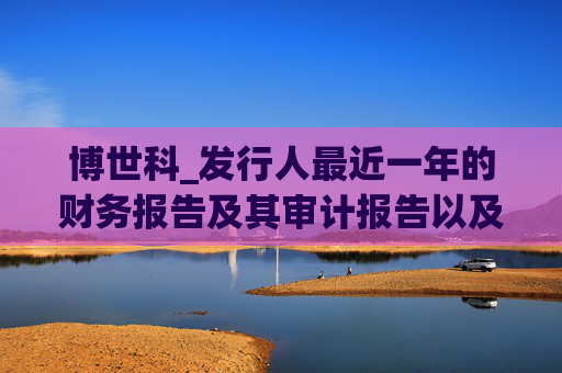 博世科_发行人最近一年的财务报告及其审计报告以及最近一期的财务报告(申报稿)