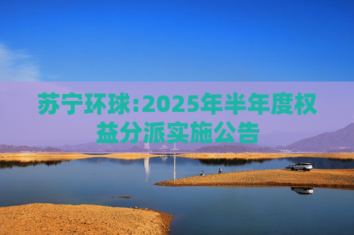 苏宁环球:2025年半年度权益分派实施公告