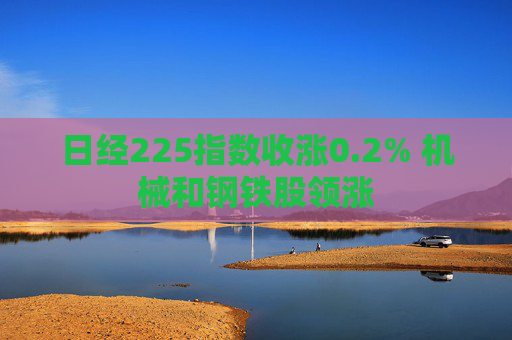 日经225指数收涨0.2% 机械和钢铁股领涨
