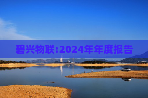 碧兴物联:2024年年度报告  第1张