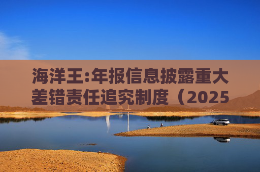 海洋王:年报信息披露重大差错责任追究制度（2025年12月）
