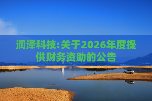 润泽科技:关于2026年度提供财务资助的公告