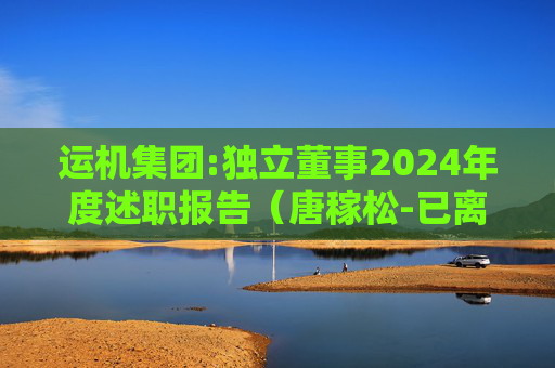 运机集团:独立董事2024年度述职报告（唐稼松-已离任）  第1张