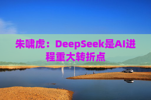 朱啸虎：DeepSeek是AI进程重大转折点