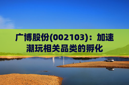 广博股份(002103)：加速潮玩相关品类的孵化
