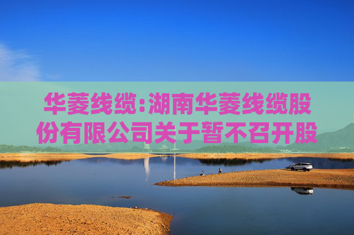 华菱线缆:湖南华菱线缆股份有限公司关于暂不召开股东会审议本次交易的公告  第1张