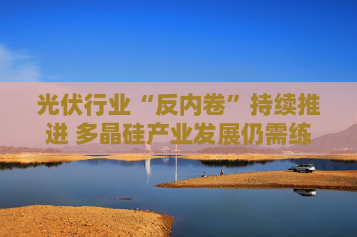 光伏行业“反内卷”持续推进 多晶硅产业发展仍需练内功借外力