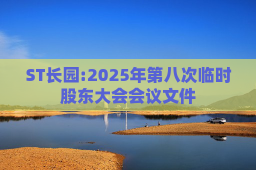ST长园:2025年第八次临时股东大会会议文件