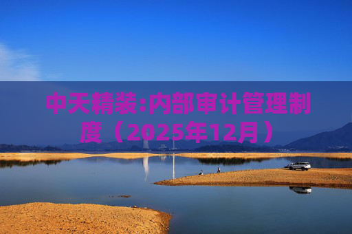 中天精装:内部审计管理制度（2025年12月）
