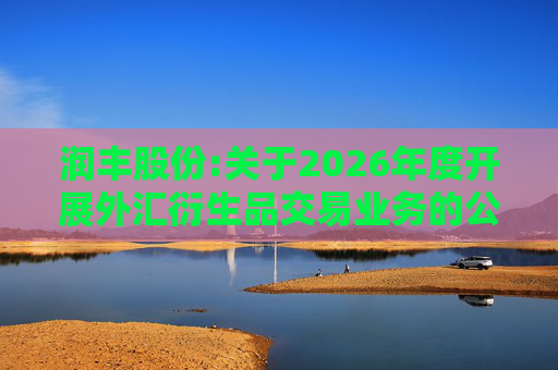 润丰股份:关于2026年度开展外汇衍生品交易业务的公告
