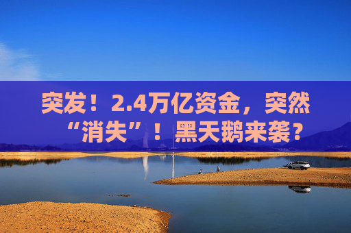 突发！2.4万亿资金，突然“消失”！黑天鹅来袭？