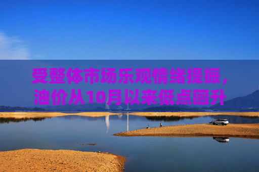 受整体市场乐观情绪提振，油价从10月以来低点回升