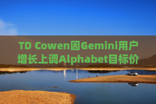 TD Cowen因Gemini用户增长上调Alphabet目标价