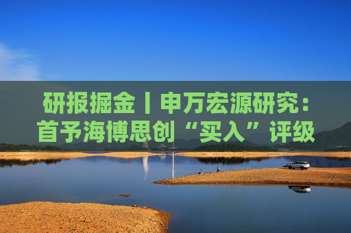 研报掘金丨申万宏源研究：首予海博思创“买入”评级，储能业务有望迎来高速发展  第1张