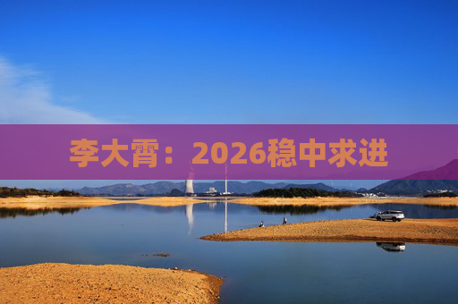 李大霄:2026稳中求进