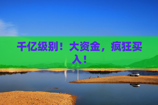 千亿级别！大资金，疯狂买入！  第1张