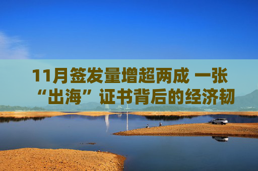 11月签发量增超两成 一张“出海”证书背后的经济韧性