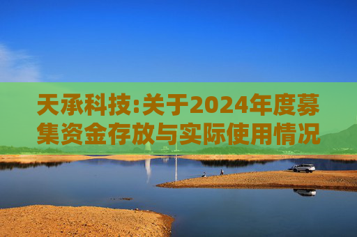 天承科技:关于2024年度募集资金存放与实际使用情况的专项报告  第1张