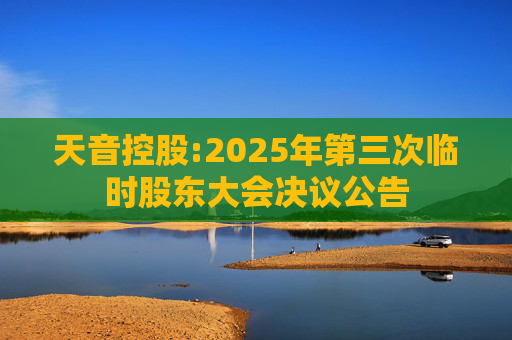 天音控股:2025年第三次临时股东大会决议公告