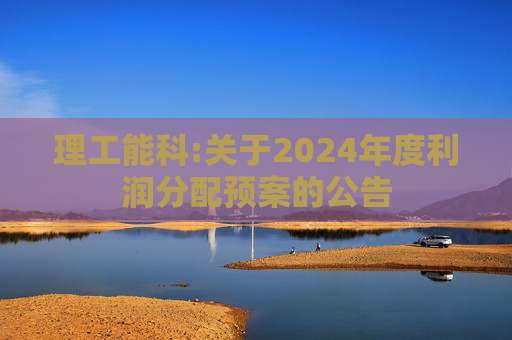 理工能科:关于2024年度利润分配预案的公告  第1张