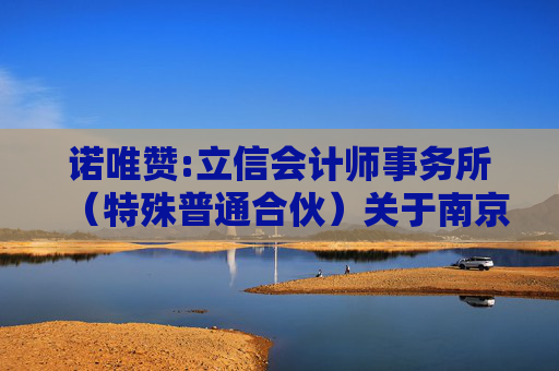 诺唯赞:立信会计师事务所（特殊普通合伙）关于南京诺唯赞生物科技股份有限公司2024年度非经营性资金占用及其他关联资金往来情况的专项报告