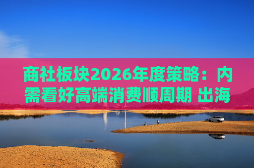 商社板块2026年度策略:内需看好高端消费顺周期 出海关注龙头Α 第1张 商社板块2026年度策略:内需看好高端消费顺周期 出海关注龙头Α 第1张
