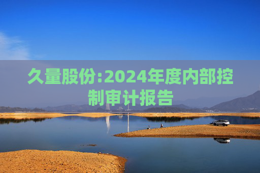 久量股份:2024年度内部控制审计报告  第1张