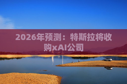 2026年预测：特斯拉将收购xAI公司  第1张