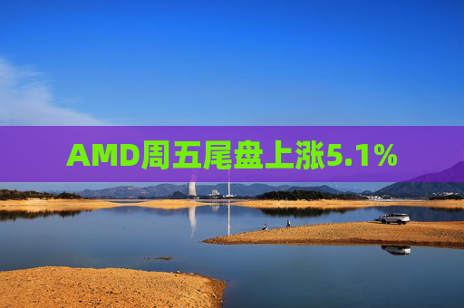 AMD周五尾盘上涨5.1%