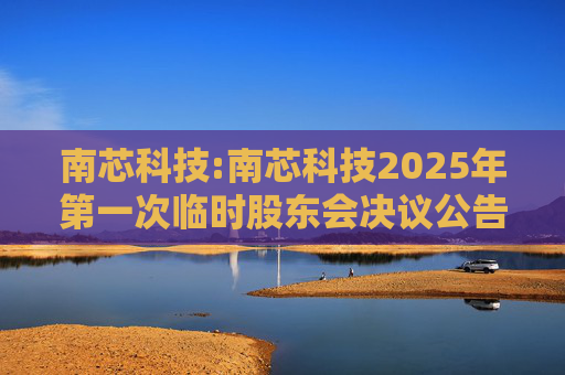 南芯科技:南芯科技2025年第一次临时股东会决议公告  第1张