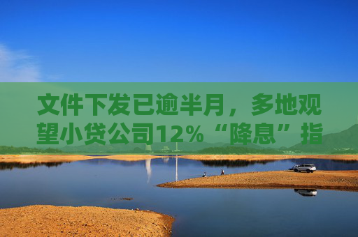 文件下发已逾半月,多地观望小贷公司12%“降息”指引,执行节奏将成关键
