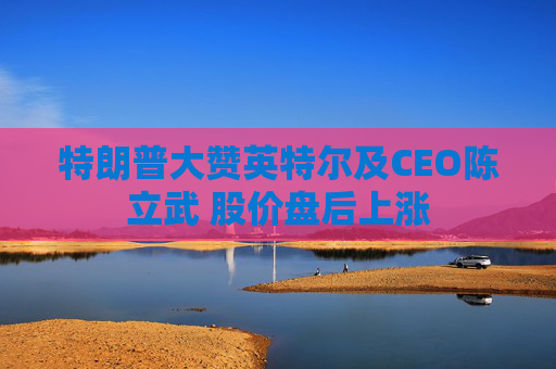 特朗普大赞英特尔及CEO陈立武 股价盘后上涨  第1张