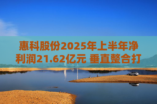 惠科股份2025年上半年净利润21.62亿元 垂直整合打造显示产业全链条优势