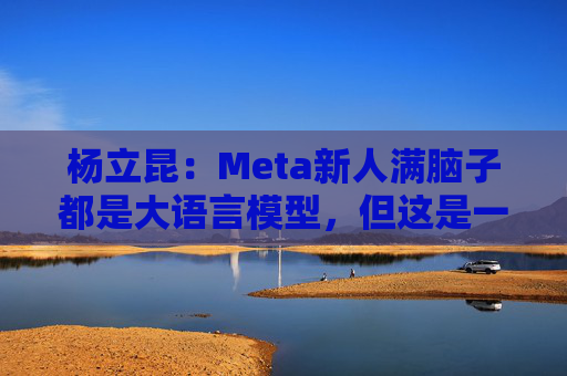 杨立昆：Meta新人满脑子都是大语言模型，但这是一条死胡同