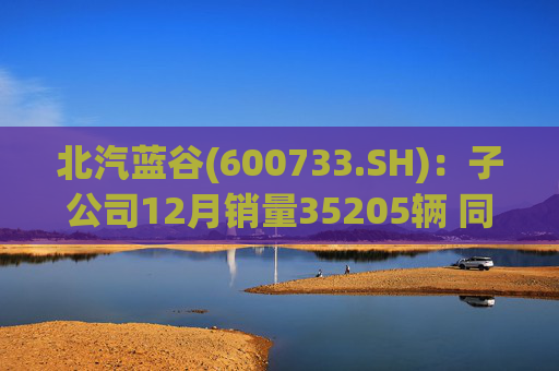 北汽蓝谷(600733.SH)：子公司12月销量35205辆 同比增长114.56%